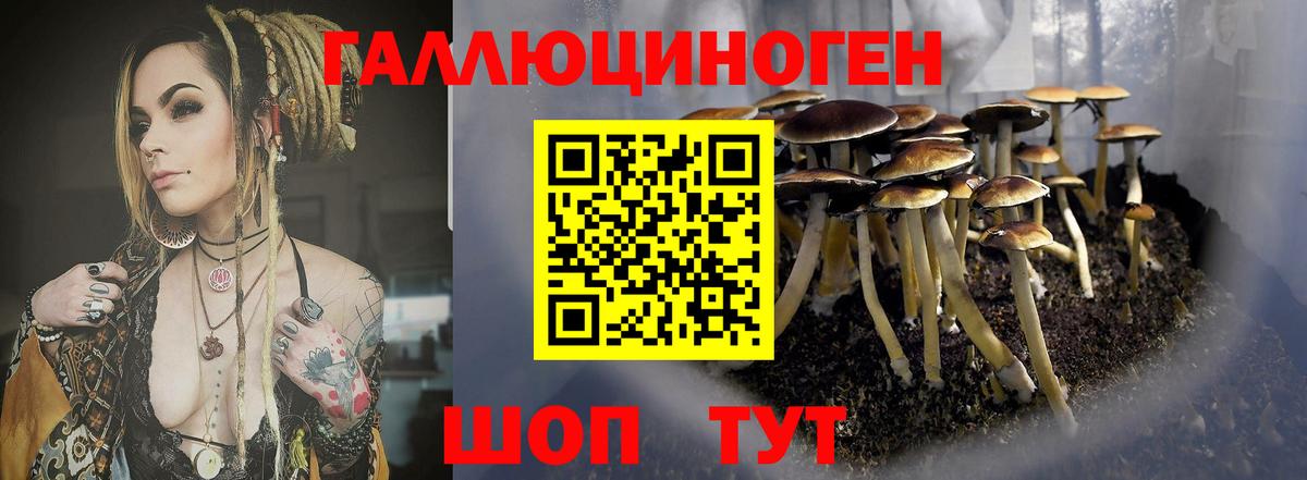 Галлюциногенные грибы ЛСД Валуйки